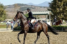 PVHS Equestrian Team