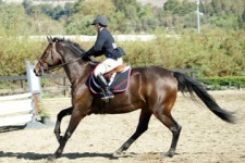 PVHS Equestrian Team