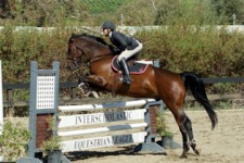 PVHS Equestrian Team